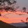 Nguni Rest - 218351
