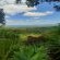 Nguni Rest - 218352
