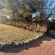 Luxe Guesthouse - 218370