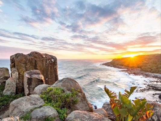 Morgan Bay Hotel - 218465