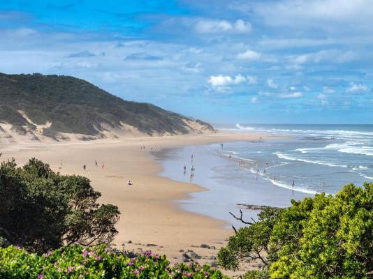 Morgan Bay Hotel - 218475