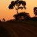 Kambaku River Lodge - 218549