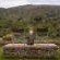 Kambaku River Lodge - 218561