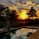 Kambaku River Lodge - 218571