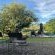 Kambaku River Lodge - 218621