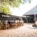 Kambaku Safari Lodge - 218716