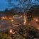 Kambaku Safari Lodge - 218724