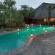 Kambaku Safari Lodge - 218740
