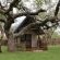 Leopard's Bend Bush Lodge - 218779