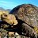 Villa Reinet Guest House - 218850