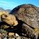 Villa Reinet Guest House - 218850