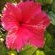 Villa Reinet Guest House - 218864