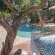 The Wild Blue Lodge Safari & Spa - 219014