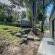 Hout Bay Gem - 219042