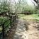 Isinkwe Bush Camp - 219401