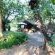 Isinkwe Bush Camp - 219408