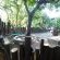 Isinkwe Bush Camp - 219412