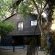 Isinkwe Bush Camp - 219423