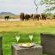 Last Word Madikwe - 219491