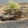 Last Word Madikwe - 219493