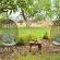 Last Word Madikwe - 219501