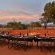 Last Word Madikwe - 219502