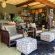 Last Word Madikwe - 219510