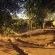 Serolo Safari Camp - 219609