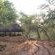 Serolo Safari Camp - 219614