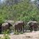 Serolo Safari Camp - 219615