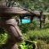 Karoo Soul Backpackers & Cottages - 219637