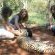 Tshukudu Bush Camp