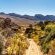 Clanwilliam Hotel - 219924