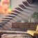 Durban Holiday Escapes - 219969