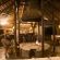 Mziki Safari Lodge - 220113
