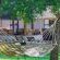 Mziki Safari Lodge - 220122