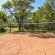Mziki Safari Lodge - 220131