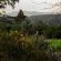 Forest Valley Cottages - 220369