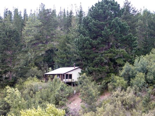 Forest Valley Cottages - 220371