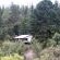 Forest Valley Cottages - 220371