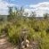 Forest Valley Cottages - 220374