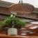 Knysna Lodge - 220607