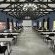 Indaba Conference Room