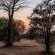 Kusudalweni Safari Lodge and Spa - 221099