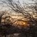 Kusudalweni Safari Lodge and Spa - 221105