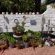 SleepEezy Cottages - 221372