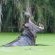 Gwahumbe Game & Spa - 221607