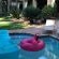 Peaceful Garden Accommodation - 221942