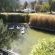 Walkerbouts Inn - Rhodes - 222311