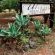Ubizane Zululand Safari Lodge - 222440
